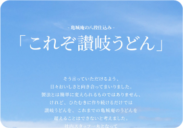 これぞ讃岐うどん