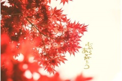 19aw_m-noshi_1000x1000_rakusp_02