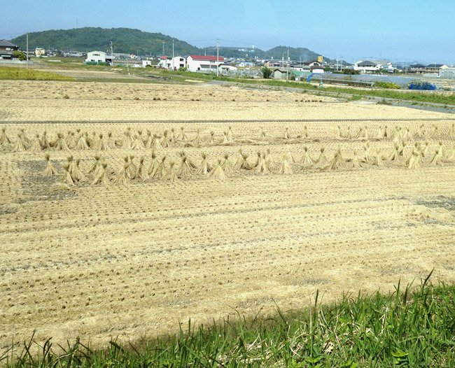 gaburo_01