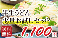 ポストに届く讃岐うどん少量お試しセット