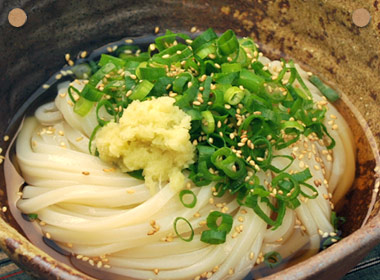 讃岐うどんの亀城庵公認レシピ　ぶっかけうどん