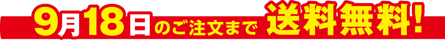 9月18日のご注文まで送料無料