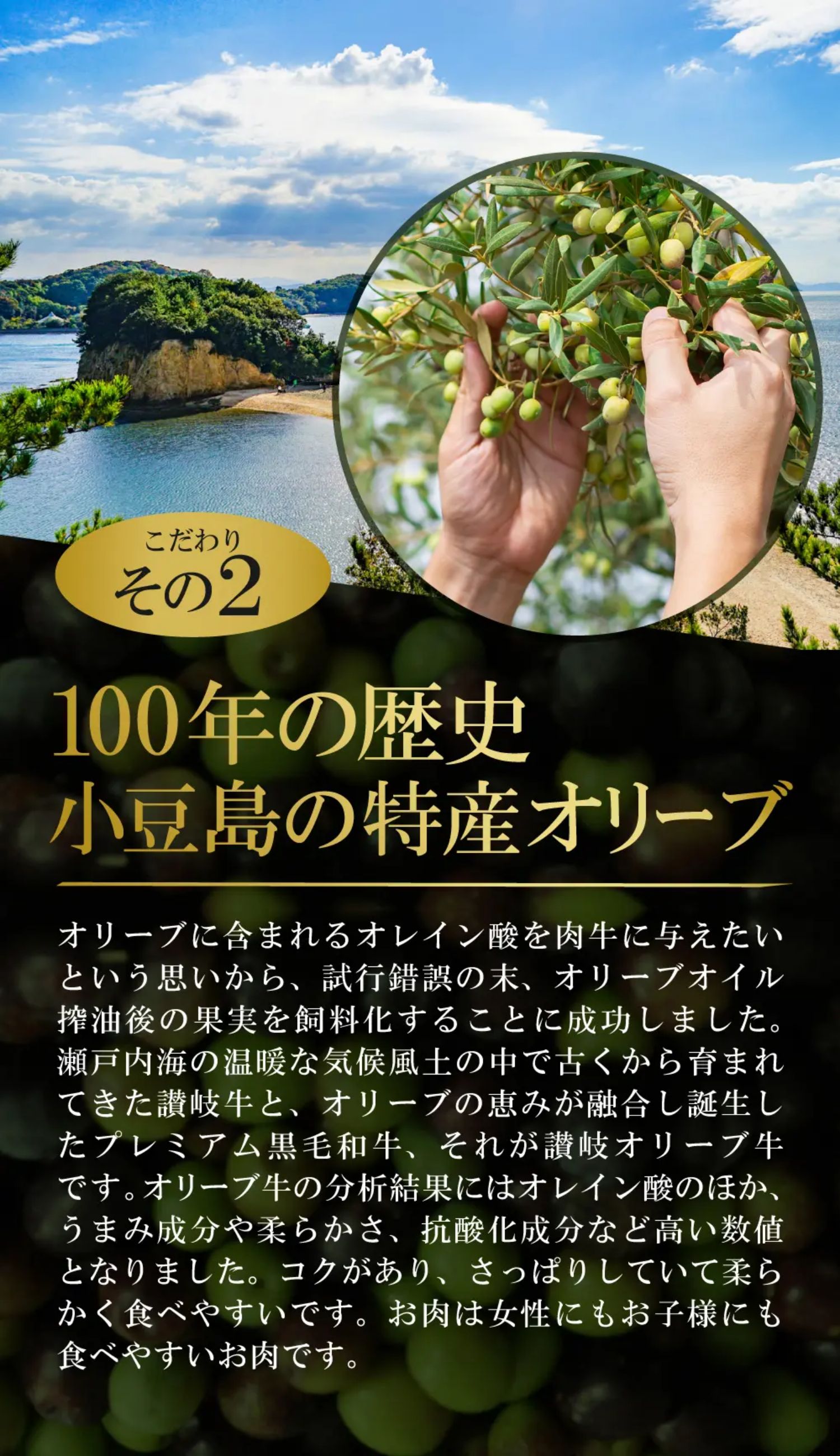 こだわりその2：100年の歴史 小豆島の特産オリーブ