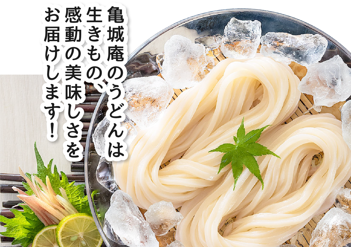 亀城庵のうどんは生きもの、感動の美味しさをお届けします！