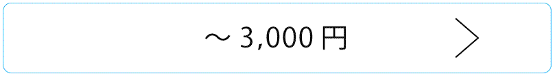 ～3,000円