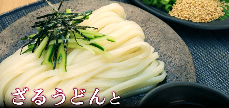 ざるうどんと冷ぶっかけうどんのセット