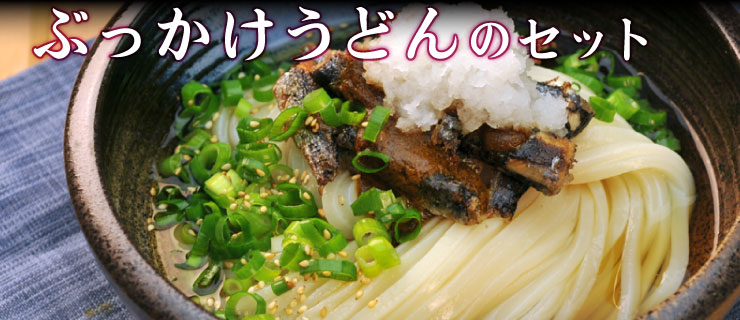 ざるうどんと冷ぶっかけうどんのセット