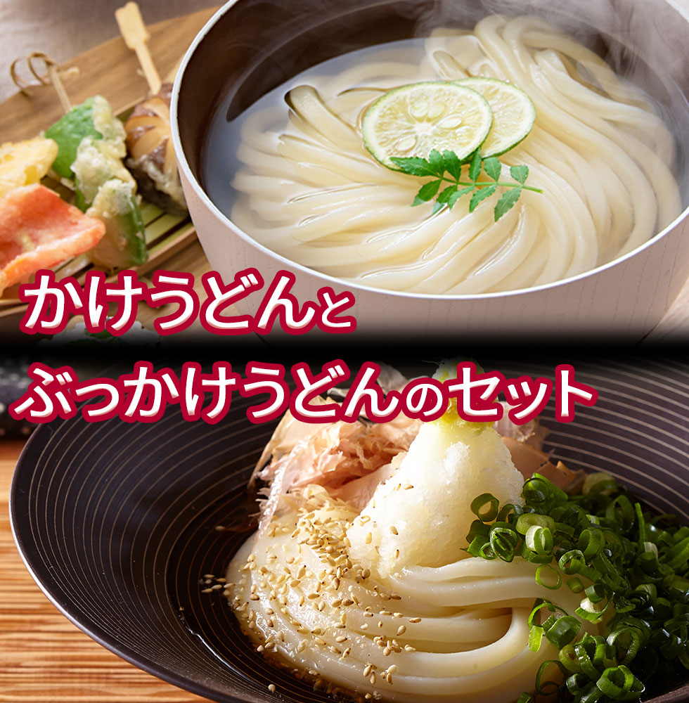 釜上げうどんとかけうどんのセット