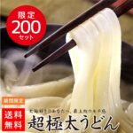 うどん s-1600x1600_v-
