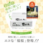 涼味福福 讃岐うどんエコセット【ご自宅向ダンボール】【G37K14