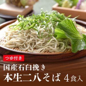 SB-802S